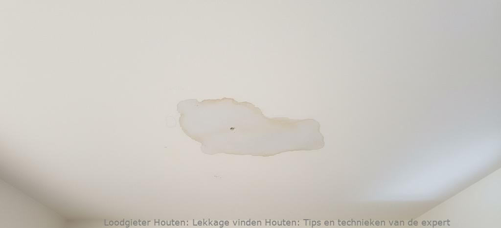 Lekkage Vinden Houten