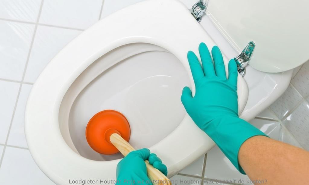 Prijs Wc Ontstopping Houten